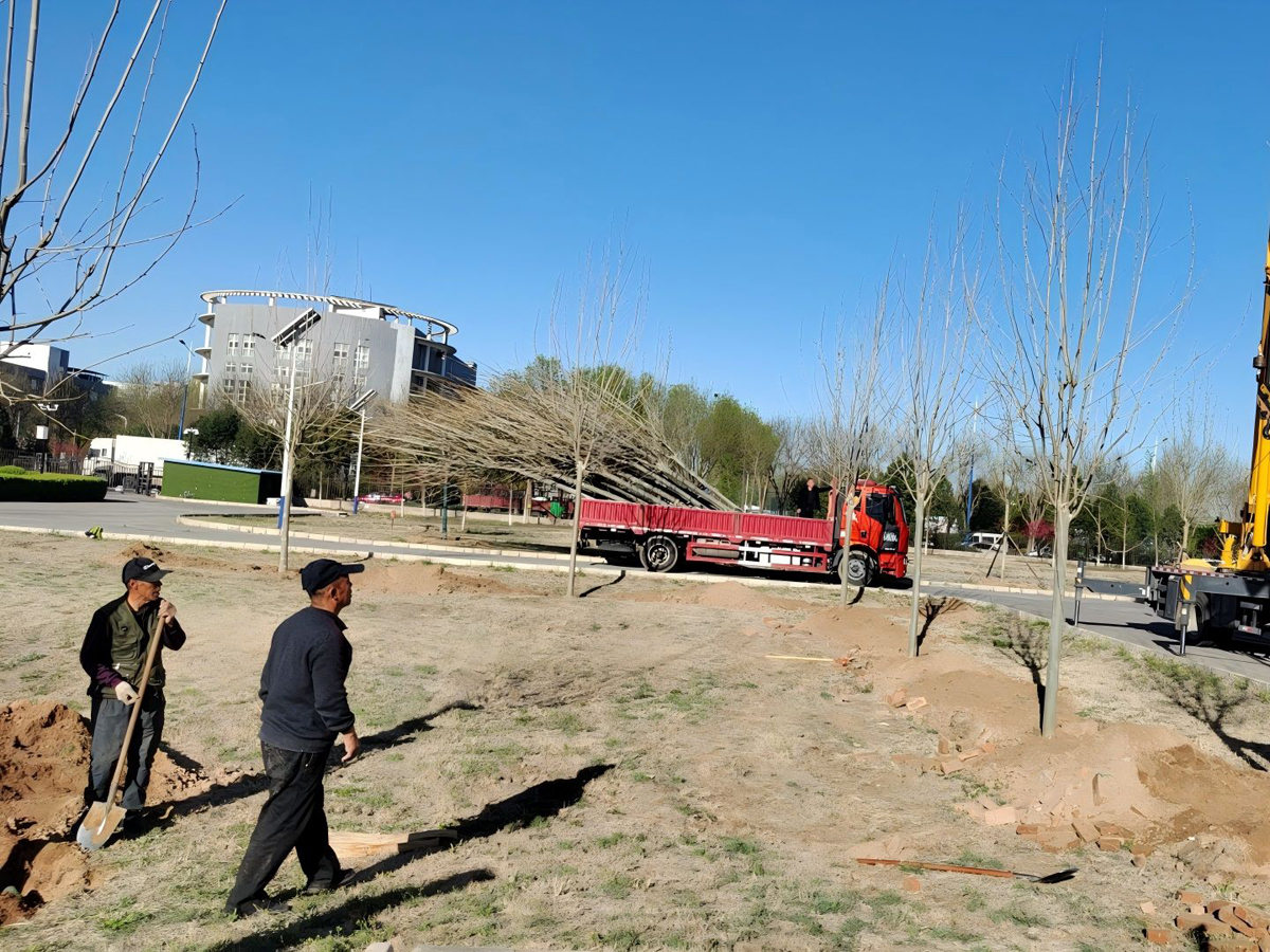 中國獸藥監(jiān)督所